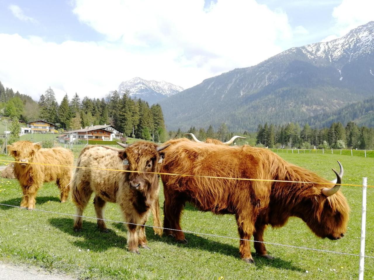 Camping Lechtal Vorderhornbach Extérieur photo